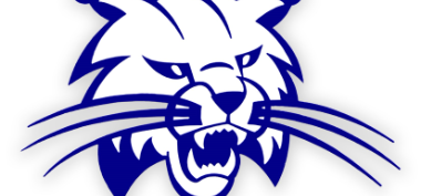 Student and Parent Surveys Available on Website 