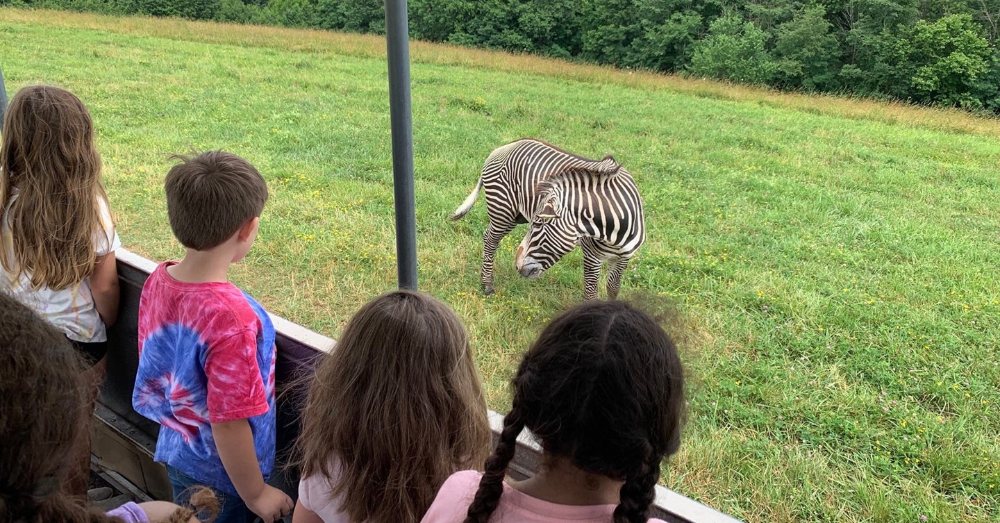 CATS Campers at The Wilds looking at Zebra